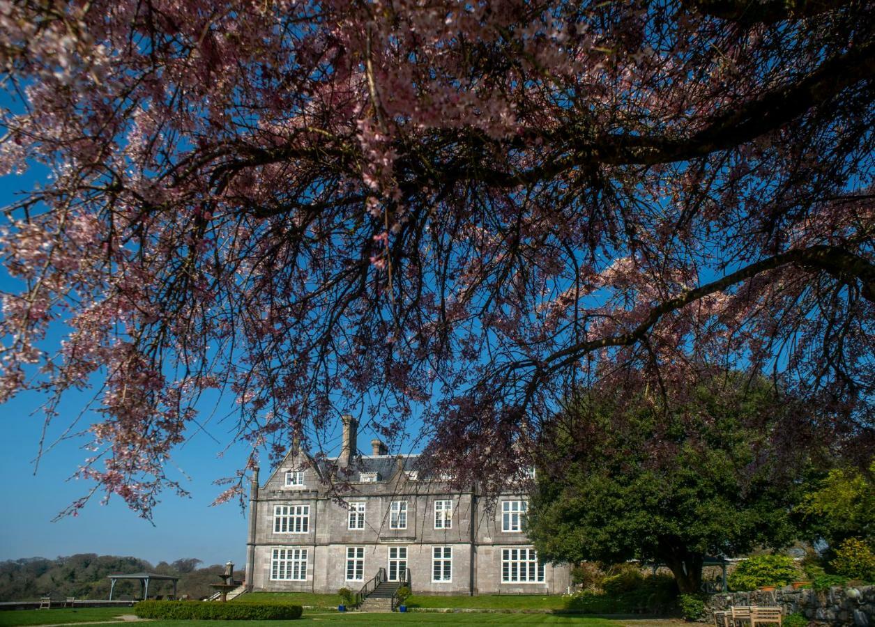 Kitley House & Country Estate Otel Brixton  Dış mekan fotoğraf